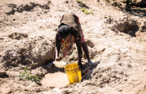 La Zambie sollicite plus de 900 millions de dollars pour faire face à la sécheresse