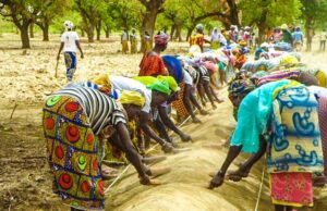Le Burkina Faso institue l’Initiative présidentielle pour la production agricole et l’autosuffisance alimentaire