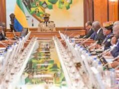 Le Gabon crée l’Agence Gabonaise pour le Développement de l’Économie Verte