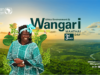 L’Union africaine institue le 3 mars Journée Wangari Maathai